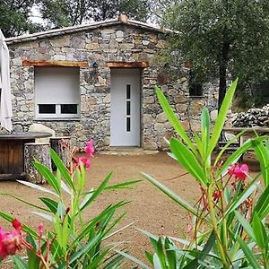 Domaine Rondini Ξενοδοχείο Moltifao Exterior photo