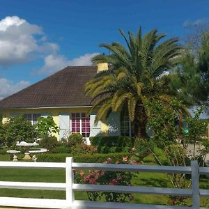 O'Jardin Bed and Breakfast Arthez-de-Bearn Exterior photo