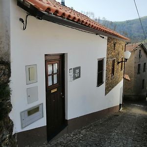 Casa Do Alto - Benfeita Bed and Breakfast Exterior photo