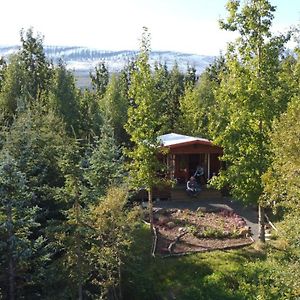 Bakkakot 1 - Cozy Cabins In The Woods Ακουρέιρι Exterior photo