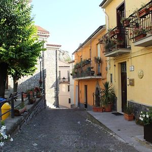 B&B Rosy Gallo Castelsaraceno Exterior photo