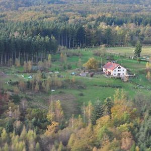 "La Belle Chambre" Dans Une Ferme Avec Etang Prive Dans La Region Des Mille Etangs Faucogney-Et-La-Mer Bed and Breakfast Ecromagny Exterior photo