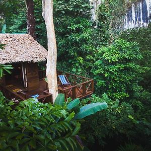 Our Jungle House Ξενοδοχείο Khao Sok National Park Exterior photo