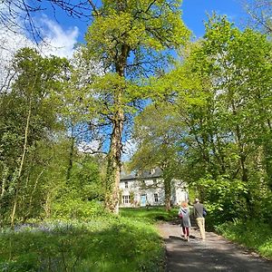 Blackhill Woods Retreat ξενώνας Abbeyleix Exterior photo