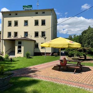 Silesia Ξενοδοχείο Długopole-Zdrój Exterior photo