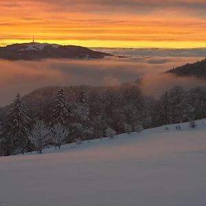 Werdtberg Ξενοδοχείο Moutier Exterior photo