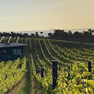 La Bodega Waiheke Island Ξενοδοχείο Surfdale Exterior photo