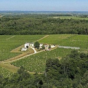 Domaine De Grand Homme Ξενοδοχείο Blasimon Exterior photo