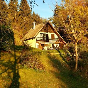 Alpinejka House Βίλα Tržič Exterior photo