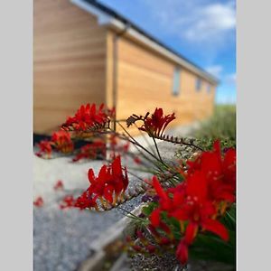 The Gallafield, Self Catering Bungalow , Stornoway Βίλα Stornoway  Exterior photo