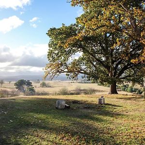 Twamley Farm Βίλα Buckland Exterior photo