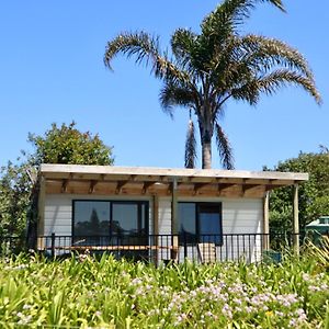 Mount And Surf View Cabin Ξενοδοχείο Pataua Exterior photo