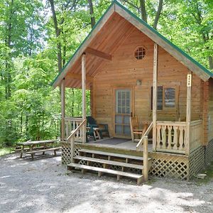 Spring Gulch Chalet 12 Ξενοδοχείο Mount Airy Exterior photo