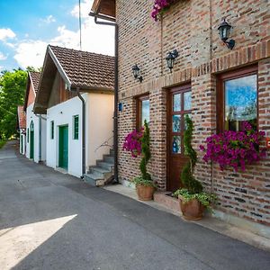 Podrumi Kolar "Suza Baranje" ξενώνας Kneževi Vinogradi Exterior photo