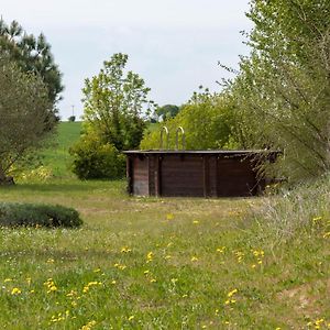 La Decouverte, Jacuzzi, Sauna, Et Terrasse Avec Vue Sur Lac A La Campagne Entre Toulouse Et Auch Βίλα Catonvielle Exterior photo