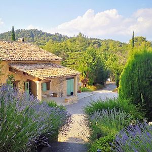 Le Jas Des Cannebieres Bed and Breakfast Villeneuve  Exterior photo