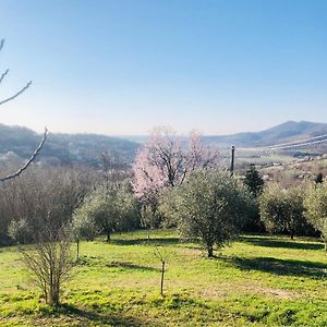 Tavern Di Arqua' Ξενοδοχείο Arqua Petrarca Exterior photo