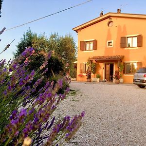 Locanda Della Lavanda Ξενοδοχείο San Clemente  Exterior photo