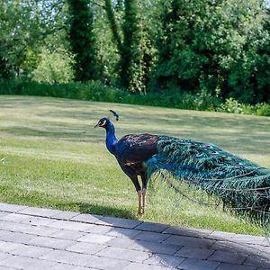 Geoff'S Rest At Pond Hall Farm In Hadleigh With Private Hot Tub Διαμέρισμα Ίπσουιτς Exterior photo