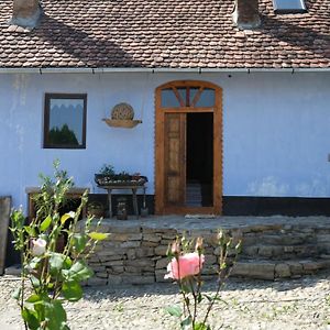 Casa Cizmarului - Saschiz 364 Ξενοδοχείο Exterior photo