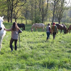 Domaine Des Pierres Jumelles-Balade A Cheval-Chambre D'Hotes Mayenne Bed and Breakfast Sainte-Gemmes-le-Robert Exterior photo