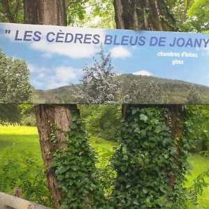 Les Cedres Bleus De Joany Ξενοδοχείο Viviez Exterior photo