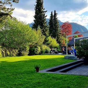 Hotel Alpine Lodge Γκστάαντ Exterior photo