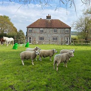 Charlton End - Goodwood Events Bed and Breakfast Τσίτσεστερ Exterior photo