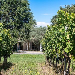 Au Detour Des Vignes Bed and Breakfast Ordonnac Exterior photo