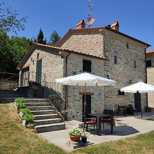 Agriturismo Al Monte Διαμέρισμα San Piero in Bagno Exterior photo