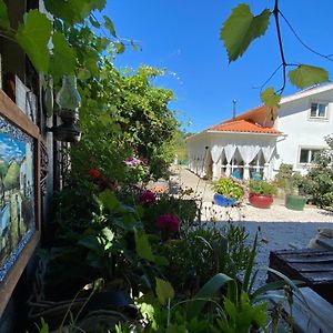 Casa Traca Bed and Breakfast Valbona Exterior photo