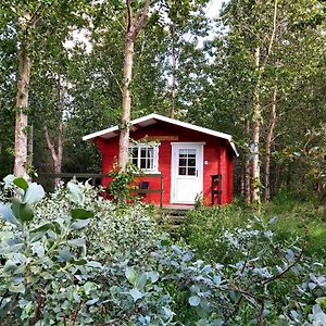 Bakkakot 3 Cozy Cabin In The Woods Διαμέρισμα Ακουρέιρι Exterior photo