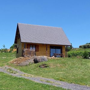 Chalet Sancy Βίλα Saint-Genès-Champespe Exterior photo