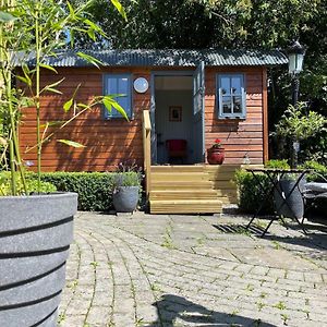 Holly Hut Shepherds Hut Βίλα Jenkinstown Park Exterior photo