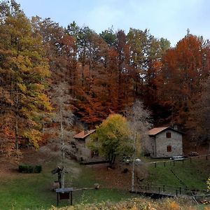 Agriturismo Il Canale Διαμέρισμα Corfino Exterior photo