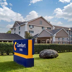 Comfort Inn Griswold Exterior photo