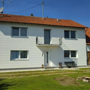 Haus - 4 Zimmer - 2 Bad - 1Kueche, Bis 8 Personen Διαμέρισμα Neuburg an Der Donau Exterior photo