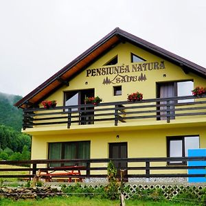 Pensiunea Natura Sadu Σίμπιου Exterior photo