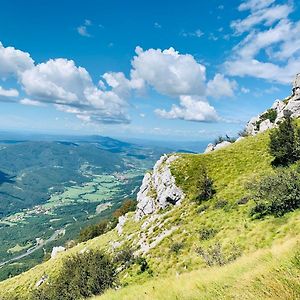 Samson And The Lilo Διαμέρισμα Vipava Exterior photo