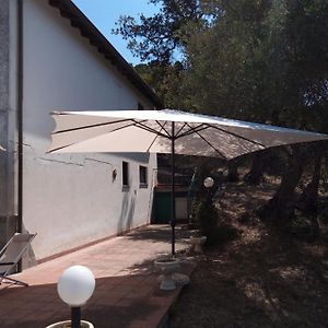 L'Antica Quercia B&B Castell'Umberto Exterior photo