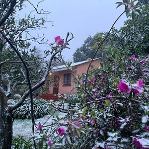 Whinstone Farm Διαμέρισμα Greytown Exterior photo