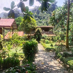 Mountain View Cottages & Villa Tangkahan Exterior photo