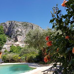 Bastide Des Oliviers Bed and Breakfast Moustiers-Sainte-Marie Exterior photo