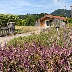 Le Chalet Dans La Nature Βίλα Saulcy-sur-Meurthe Exterior photo