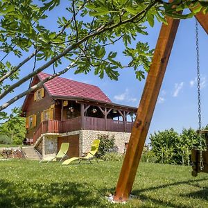 Vita Natura With Sauna And Jacuzzi Βίλα Pihovec Exterior photo