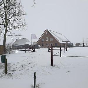 Landelijk Gelegen Boerderij Aan De Pothofweg Διαμέρισμα Anevelde Exterior photo