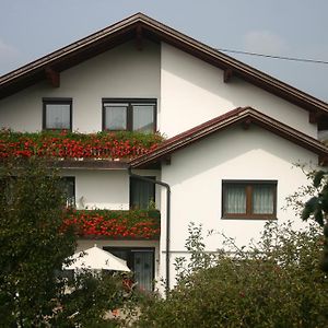 Haus Stuttgart Bed and Breakfast Obernberg am Inn Exterior photo