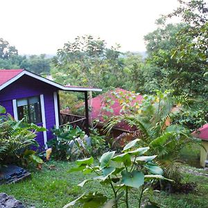 Winika Alterra Ξενοδοχείο Palenque Exterior photo