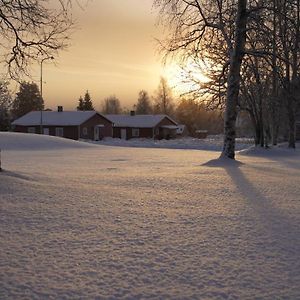 Lapland Stuga & Tours Βίλα Rentjarn Exterior photo