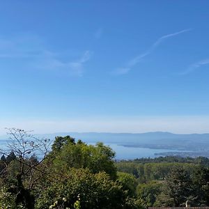 Petite Maison A L'Oree Des Bois Vue Magnifique Sur Le Lac Zenitude Et Plenitude Βίλα Belmont-sur-Lausanne Exterior photo